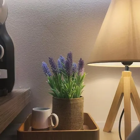Apartment Feel Good Vibes - *